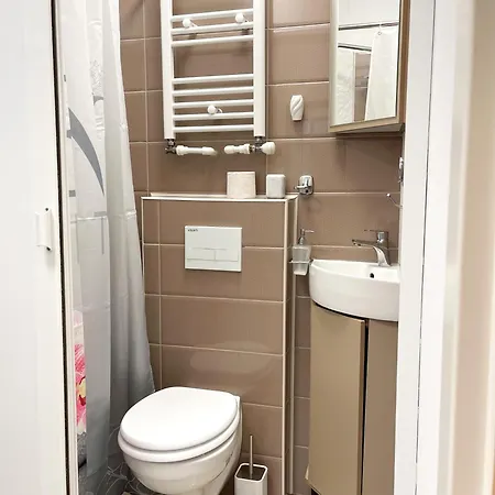 アパート Apartment-calea Mosilor *